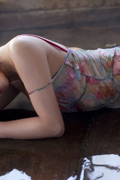 2012年11月5黑龙江省部分地区黄牛价格|PG官方平台